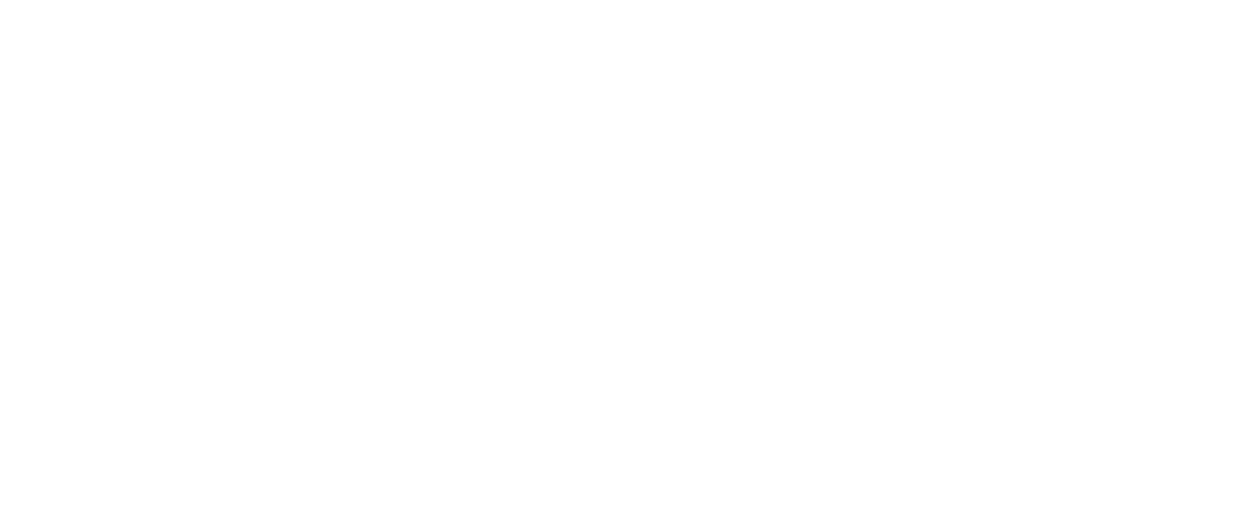 Monotone white logo